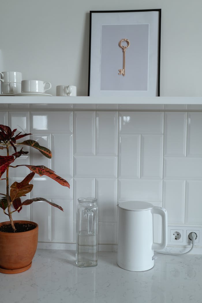 why-choose-us Modern kitchen interior with white appliances and a caladium plant on the counter.